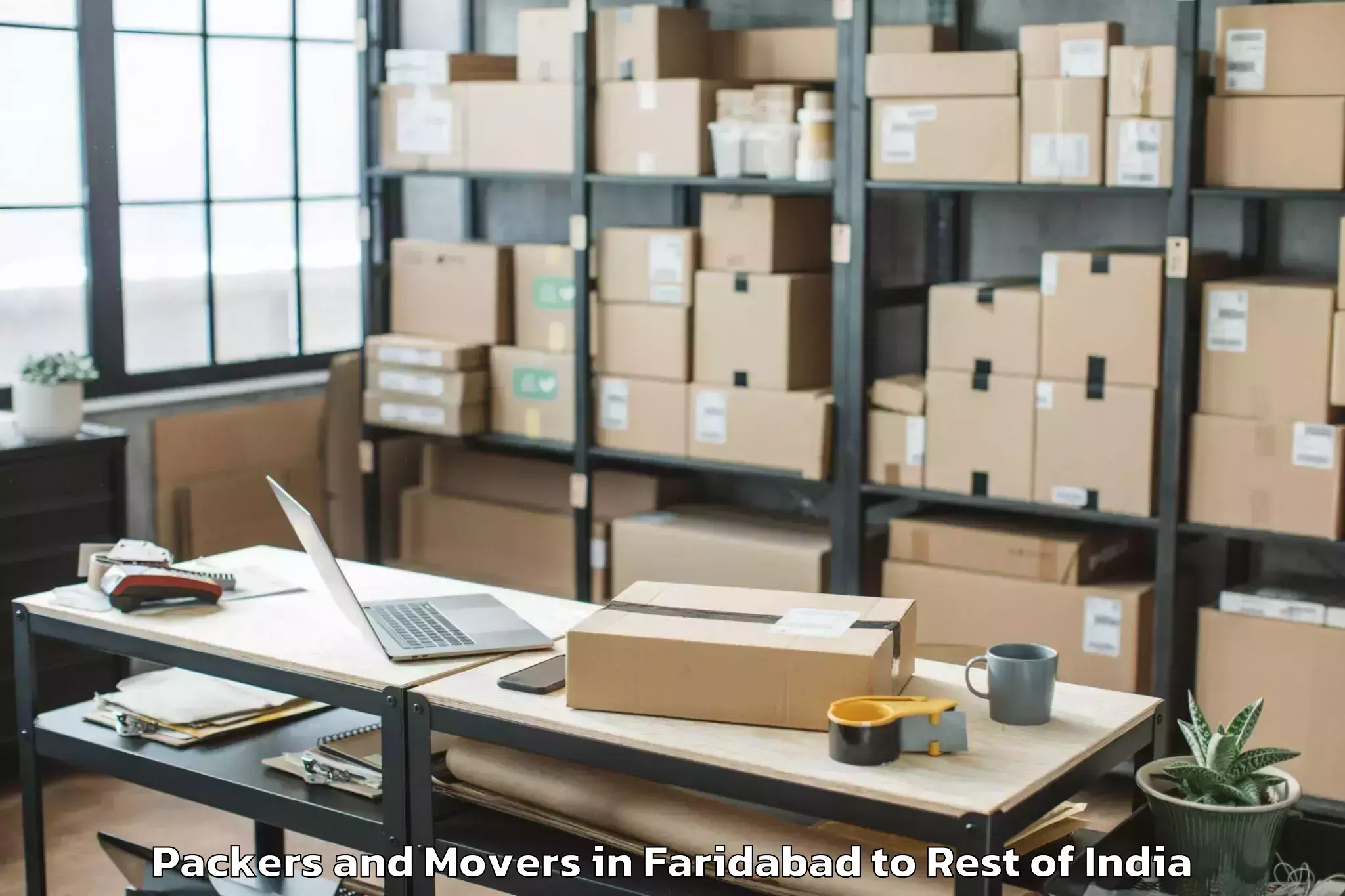 Book Faridabad to Pattan Packers And Movers Online